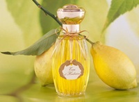 limon-kolonyasi