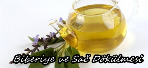 Biberiye ve Adaçayı ile Saç Bakımları