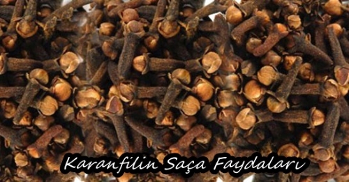 Karanfilin Saça Faydaları, Karanfil Kürü, Karanfil Suyu