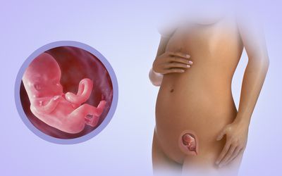 son hafta hamilelik takibi, doğum haftası yaklaşıyor
