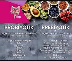 Bağırsak Sağlığı İçin Probiyotik ve Prebiyotik Nedir?